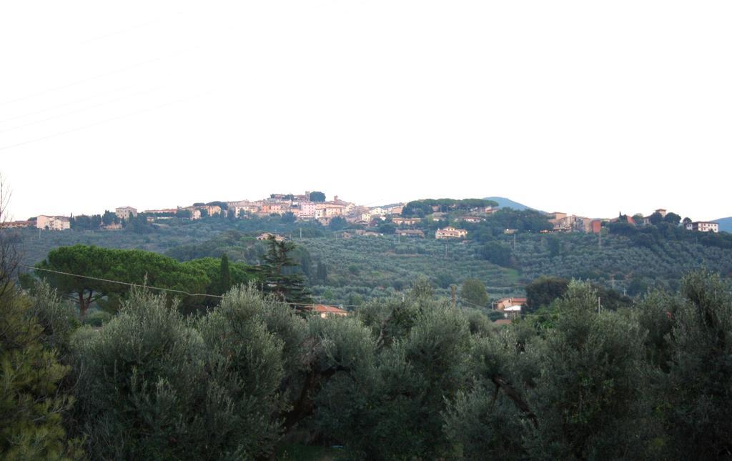 I Glicini Appartamento Castagneto Carducci Luaran gambar